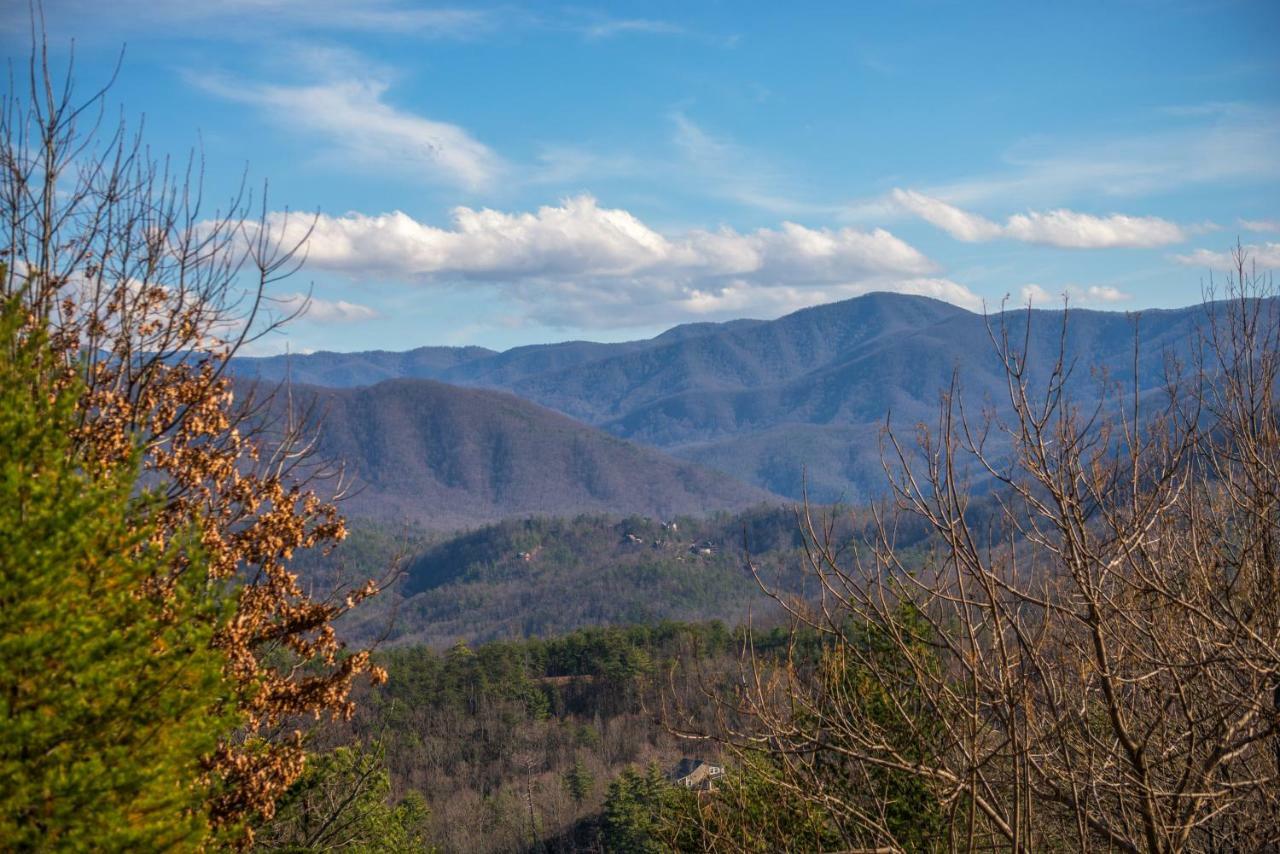 Villa Papaw'S Bear Den Pigeon Forge Exterior foto